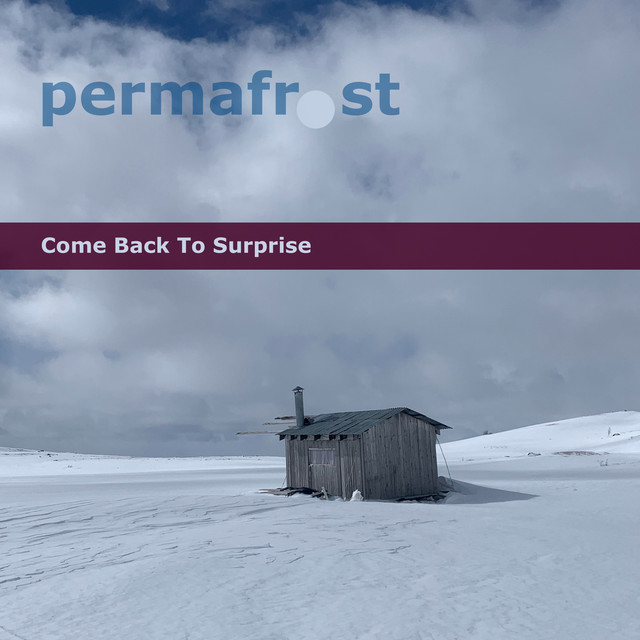 Come Back To Surprise