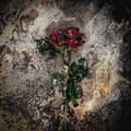 Valentine / Breakdown