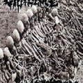 Split Tape w/ Cistemized Violence