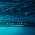 Brother Brown - Under The Water (Apocrypha AR Remix)