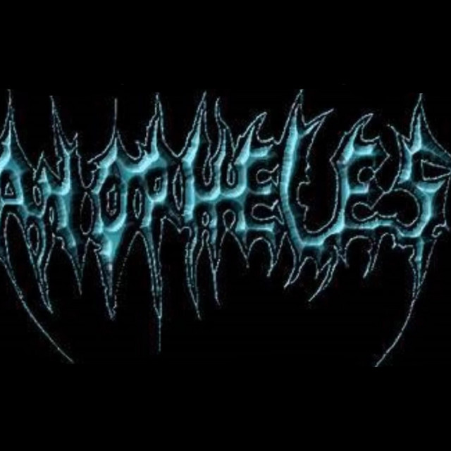 Vanitas Imperatrix Mundi