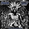 Inside The Degrading Chaos (SPLIT)