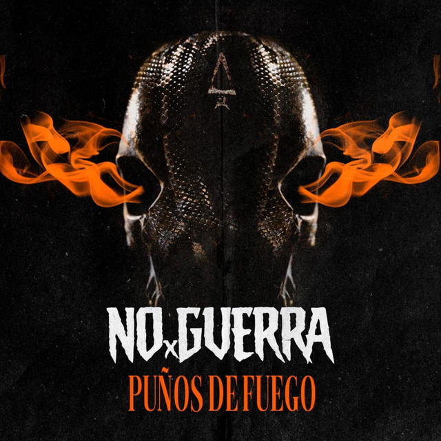 Puños de Fuego