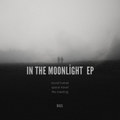 In The Moonlight EP