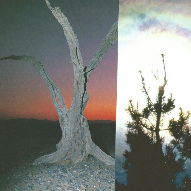 realms
