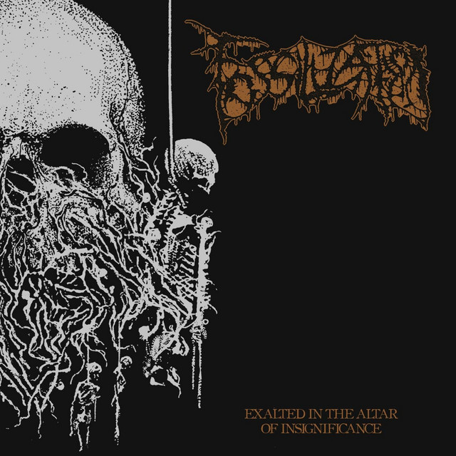 Exalted in the Altar of Insignificance