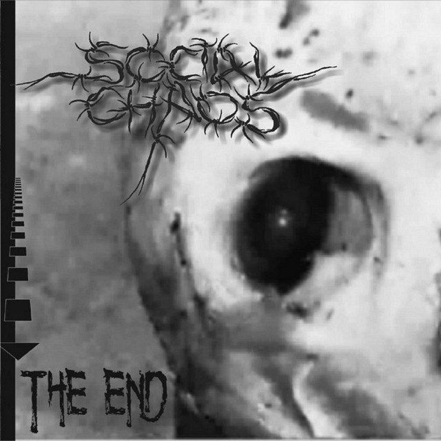 THE END