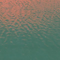 Swim