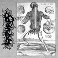 Split w/Flesh Grinder