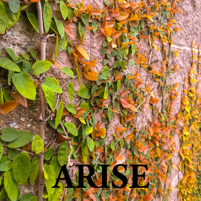 Arise (Freestyle Hour Vol. 10)