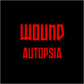 Wound