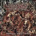 Septicemic Metamorphosis