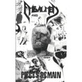 Pieces Remain