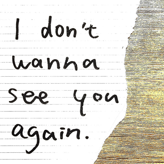 I don't wanna see you again.