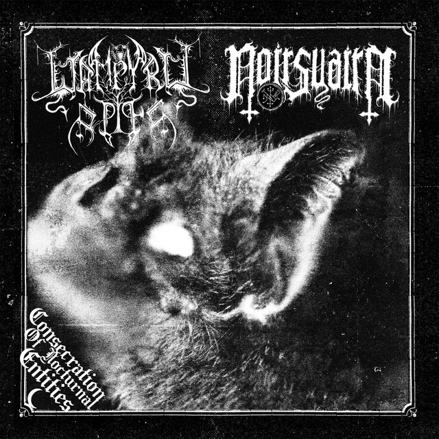 Consecration Of Nocturnal Entities
