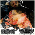Split with Coprophagic Dysentery