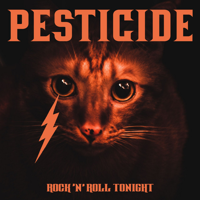 Rock 'n' Roll Tonight
