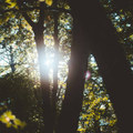 Lost From Sight and Memory