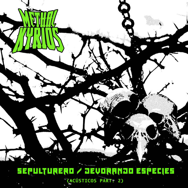 Acústicos Part. 2