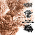 Coalizição Ruidosa Antifa - Four Way Split