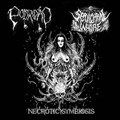 NECROTIC SYMBIOSIS