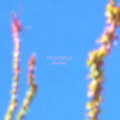 (demos)