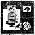 Exsim