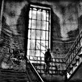 Shadows