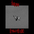 Erebus
