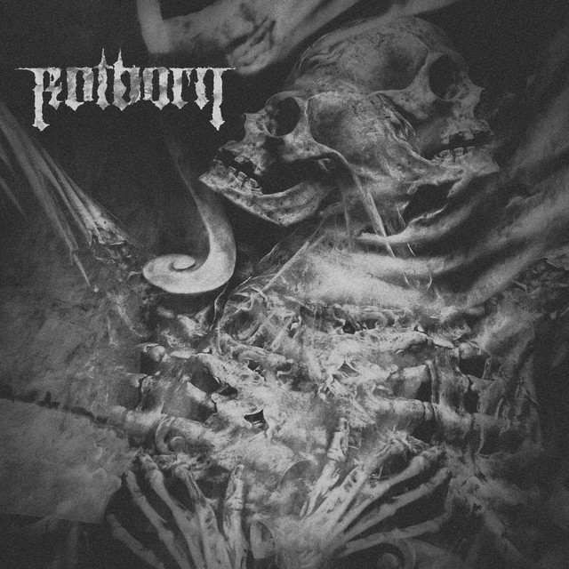 Rotborn