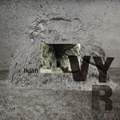 Vyr