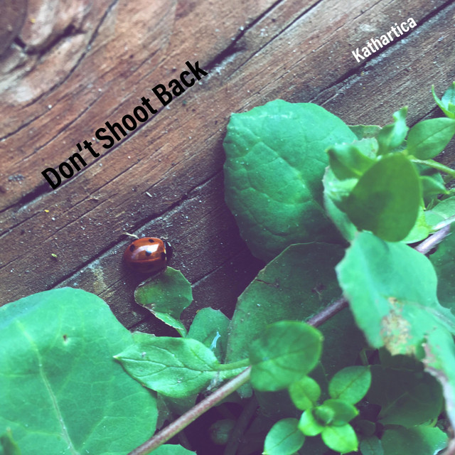 Don't Shoot Back (Song for Safe Sleeping)