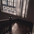 Sad shadows