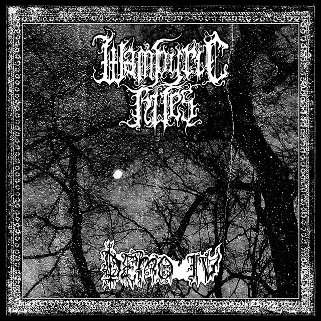 Demo IV