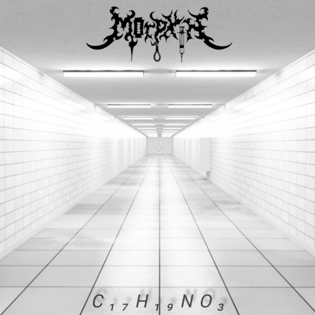 C​₁​₇​H​₁​₉​NO₃