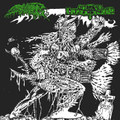 Grave Infestation/SNET Split