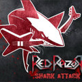 Shark Attack