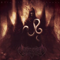 Afterlife In Darkness