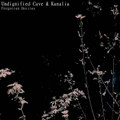 Forgotten Desires (split with Kanalia)