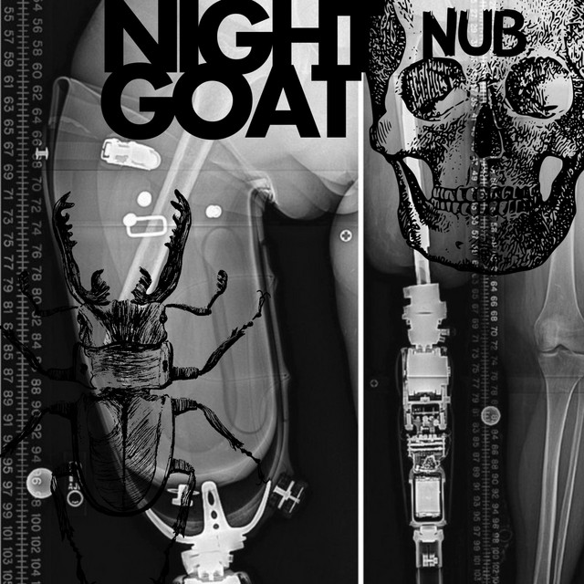 Nub