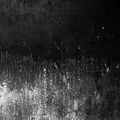 Vacant Shade