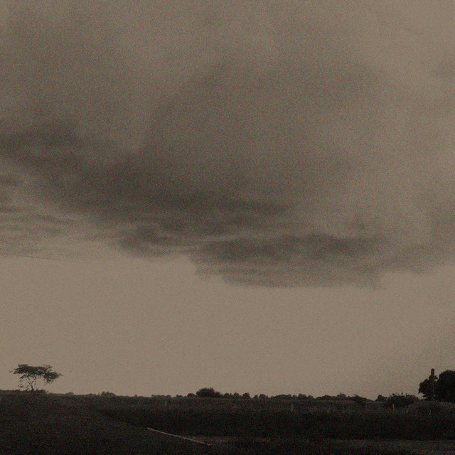 Stormgarden