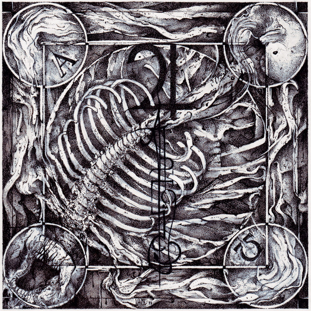Aphotic