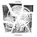 Testimony EP