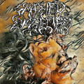 Smashed & Dissected