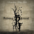 Songs From Misty Fields