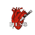 Across the Universe (Beatles Cover)-Hess