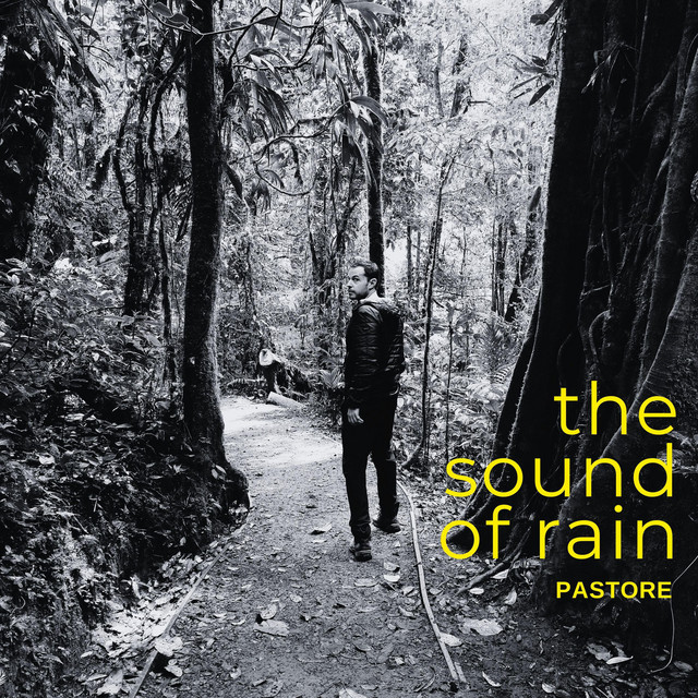 The Sound Of Rain