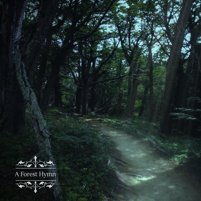 A Forest Hymn