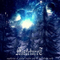 Mysteries of Stellar Nights Lost in the Infinite Void